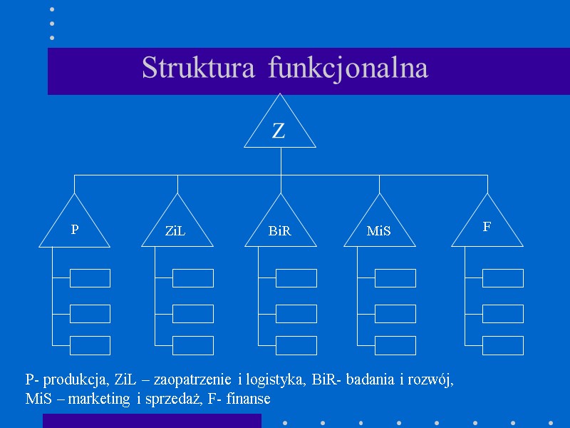 Struktura funkcjonalna BiR P Z MiS ZiL F P- produkcja, ZiL – zaopatrzenie i